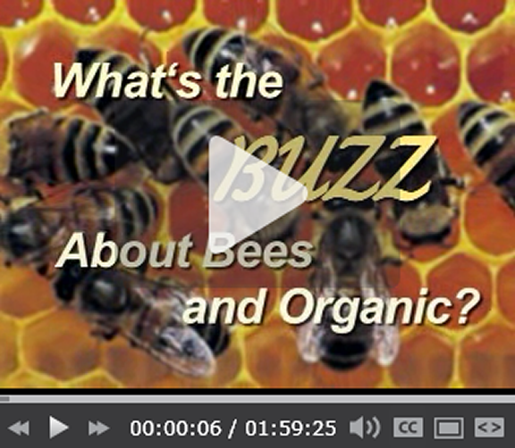 bee video